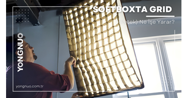 Softboxta Grid (Petek) Ne İşe Yarar?