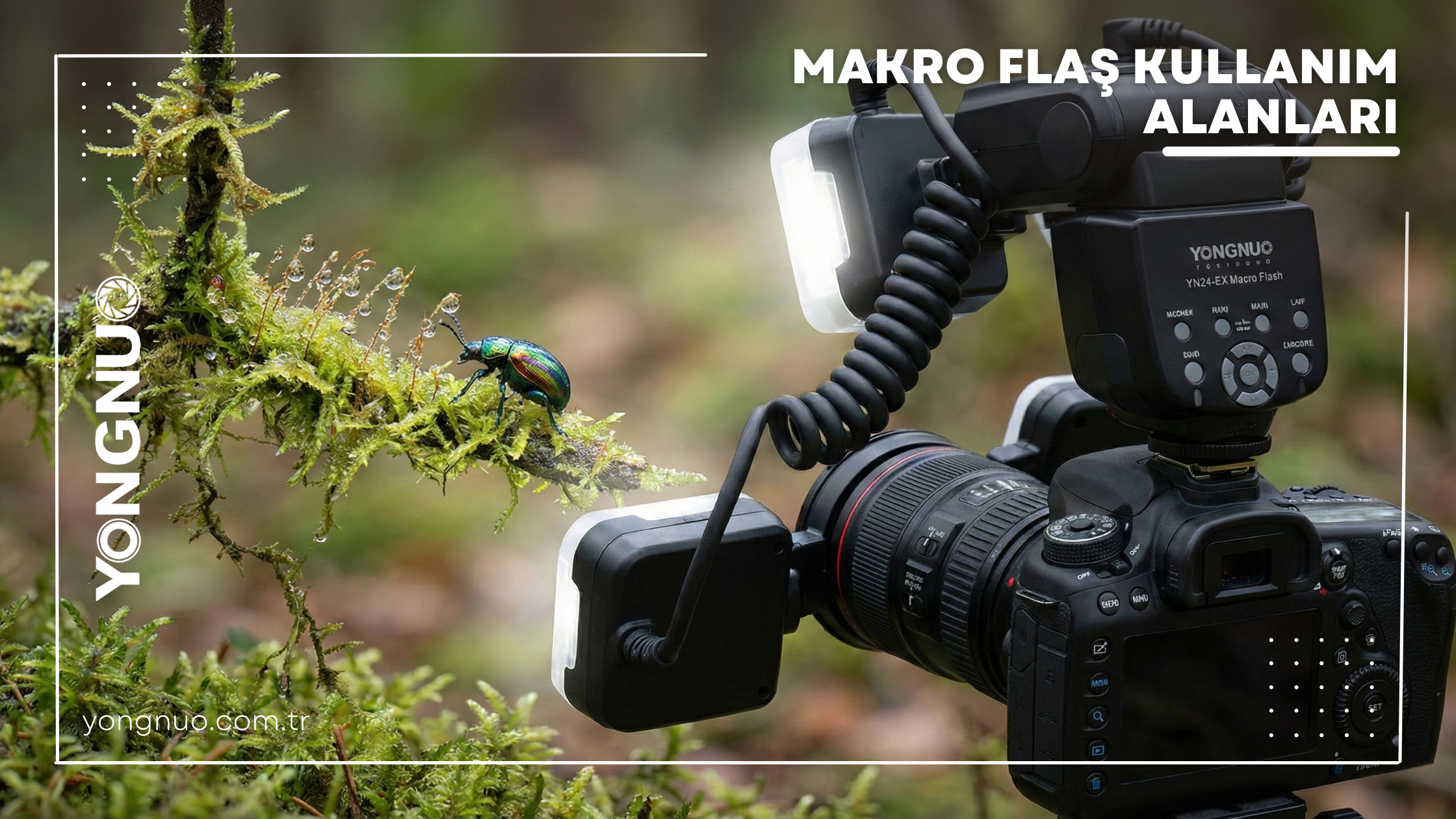 Makro Flaş Kullanım Alanları